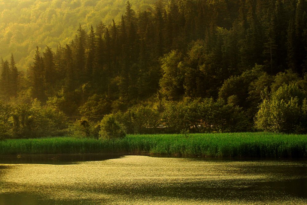 Black River