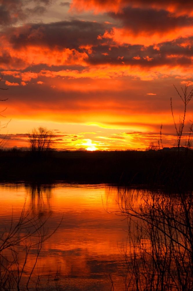 Photograph by Наталия Никитинская