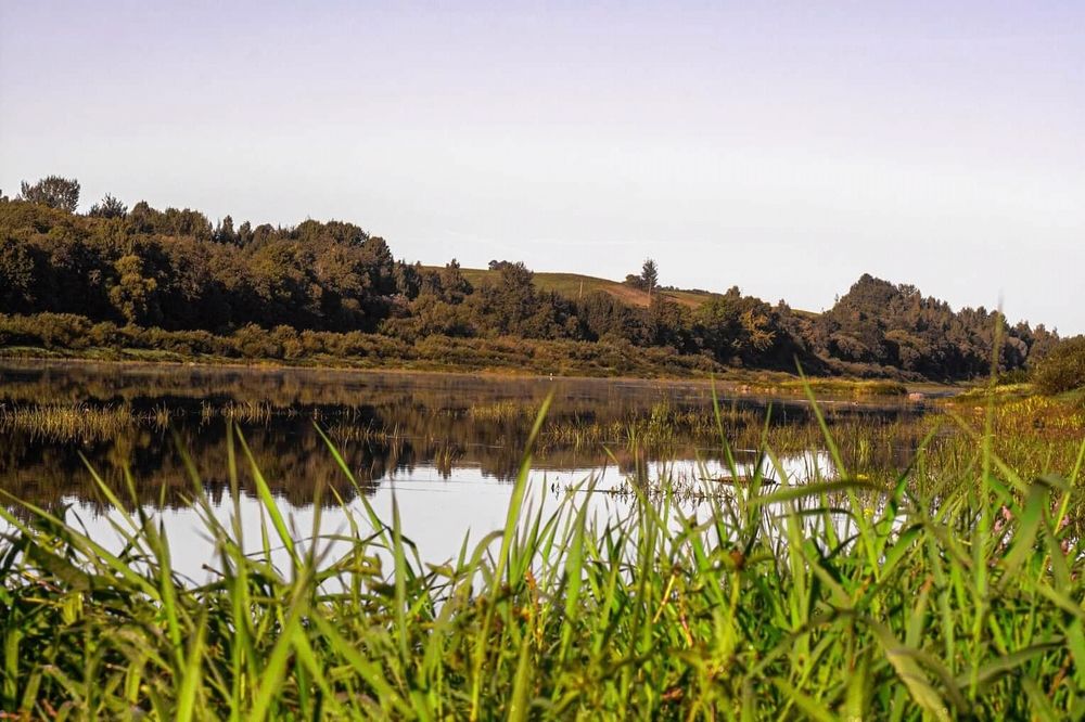 Photograph by Алексей Стрижаков