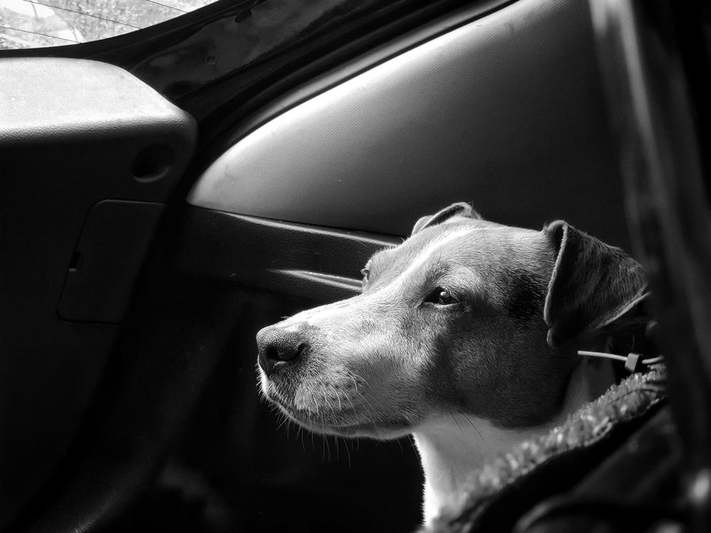 Photograph by Barbara Pindo