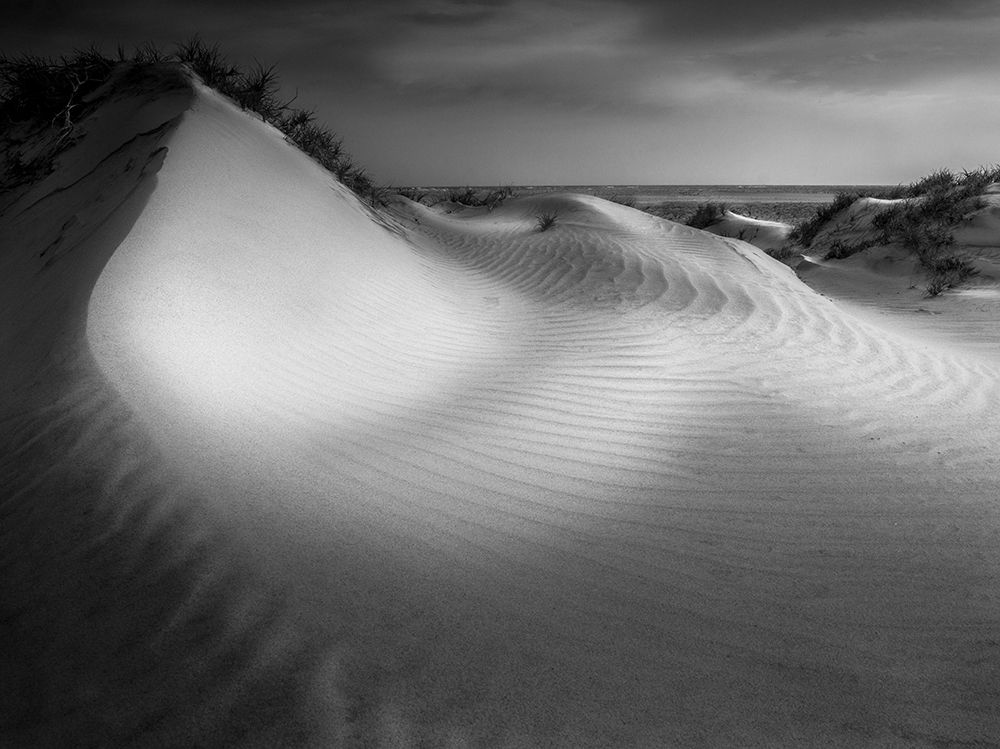 Photograph by pouyan safavi