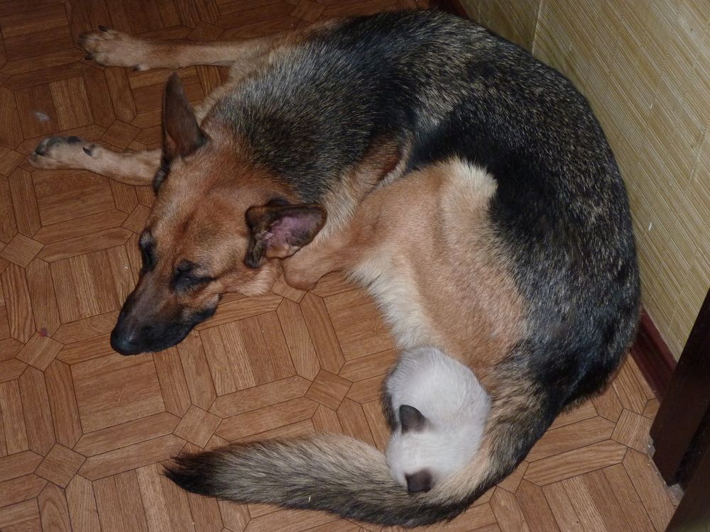 Photograph by Svetlana Litvinova