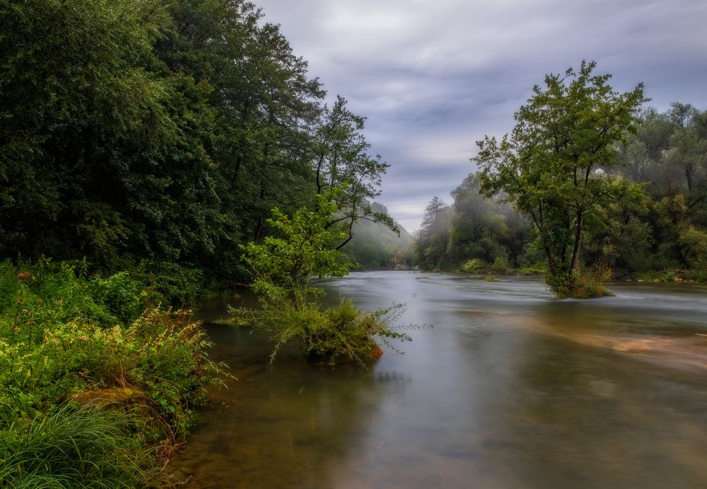 Корана на рассвете.