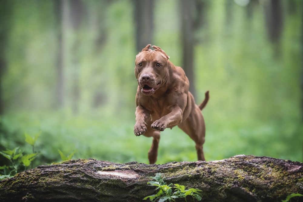 Photograph by Людмила Богуш