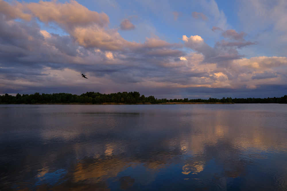 Photograph by Александр Серняк