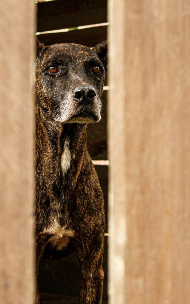 Photograph by Guillaume Duchene