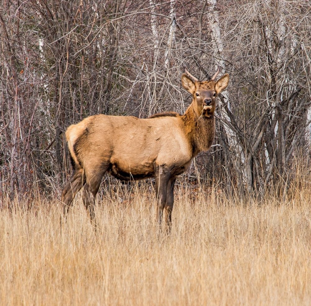 Photograph by Александр Шипиленко