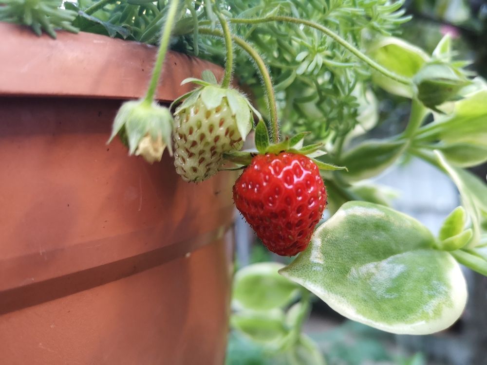 Фотография автора Katica Pecigoš-Kljuković