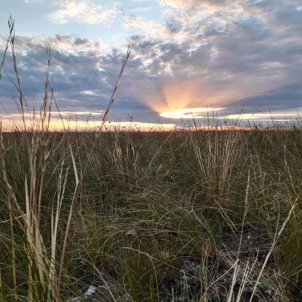 Photograph by Андрей Красников
