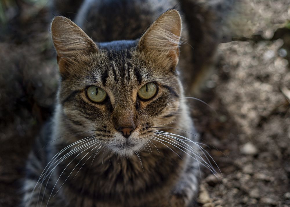 Photograph by Sandra Arena