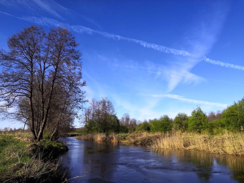 Photograph by Екатерина Овсянникова