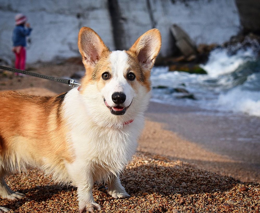 Photograph by Екатерина Гордеева