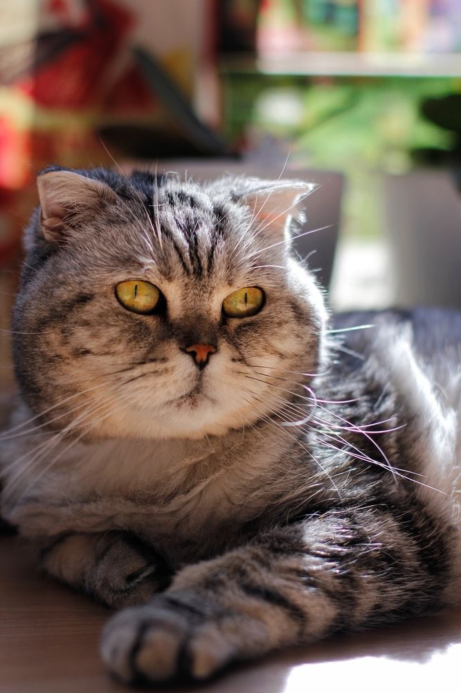 Photograph by Anastasya Beginina