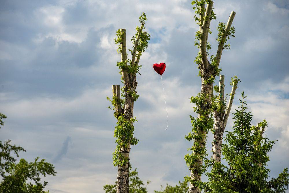 Photograph by Андрей Анатольевич Жуков