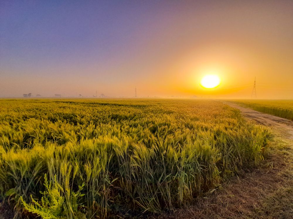 Photograph by Cheema Ahsan