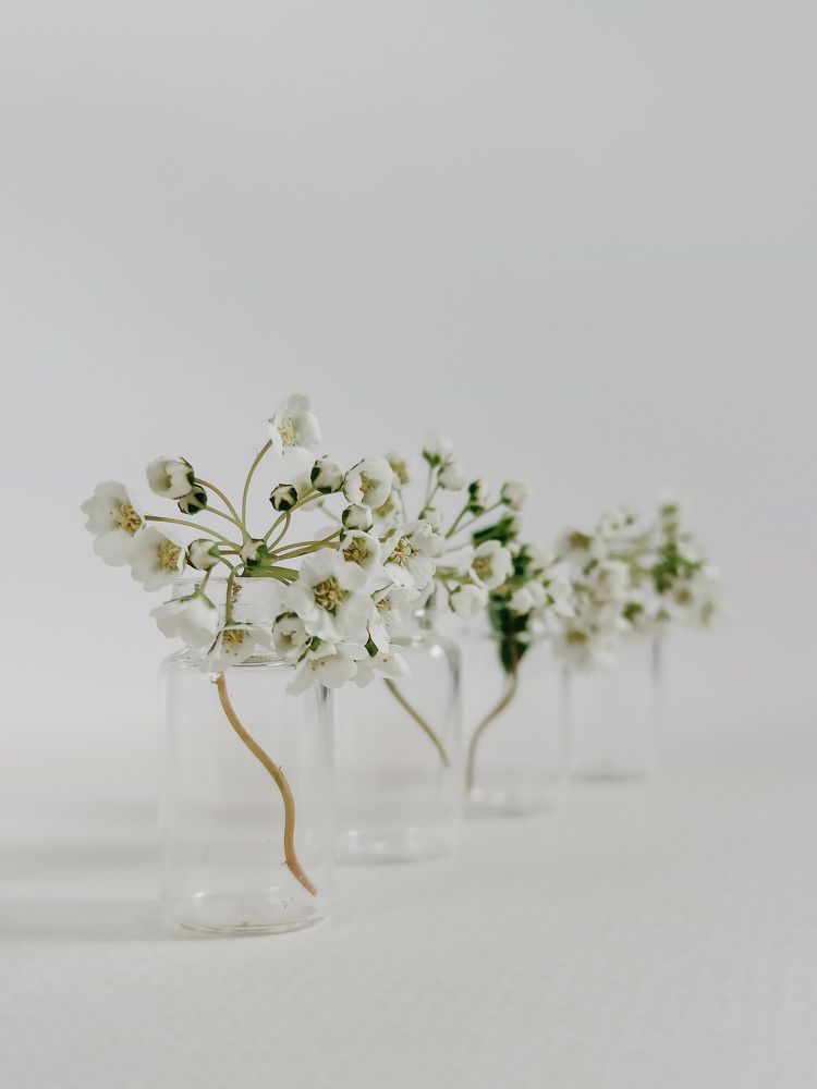 Photograph by Евгения Шевчук