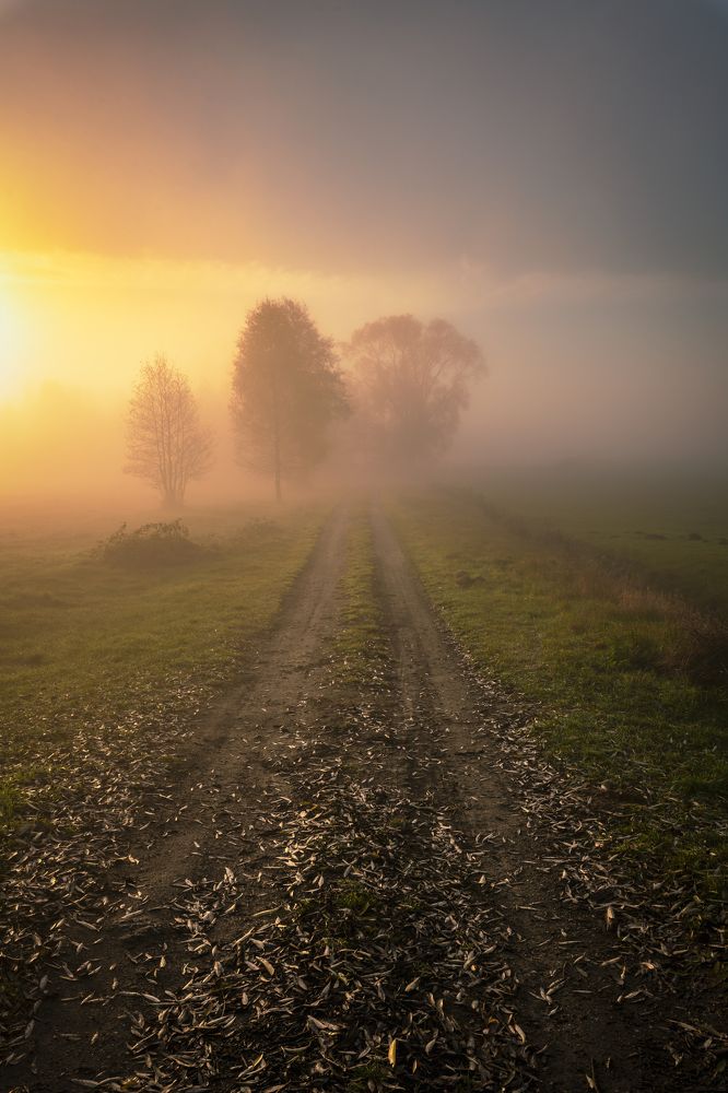 Photograph by Krzysztof