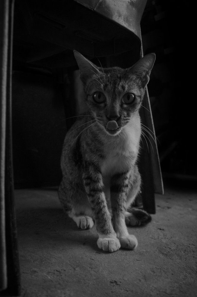 Photograph by DALSAH DARWIS