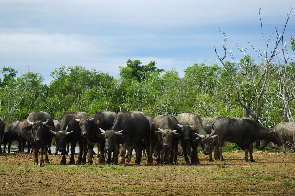 Photograph by DALSAH DARWIS