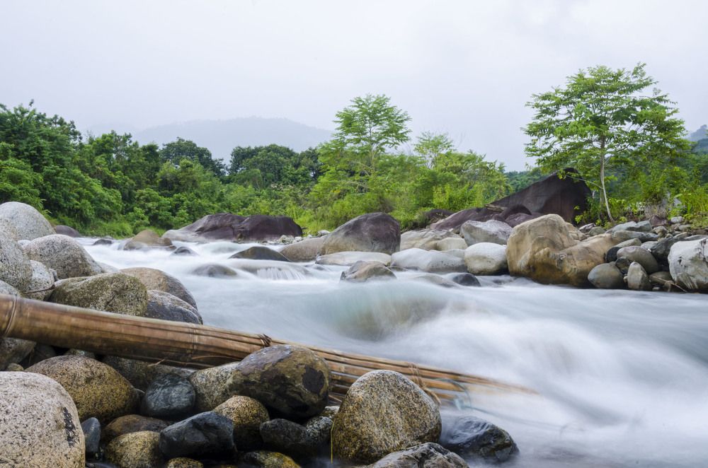 Photograph by DALSAH DARWIS