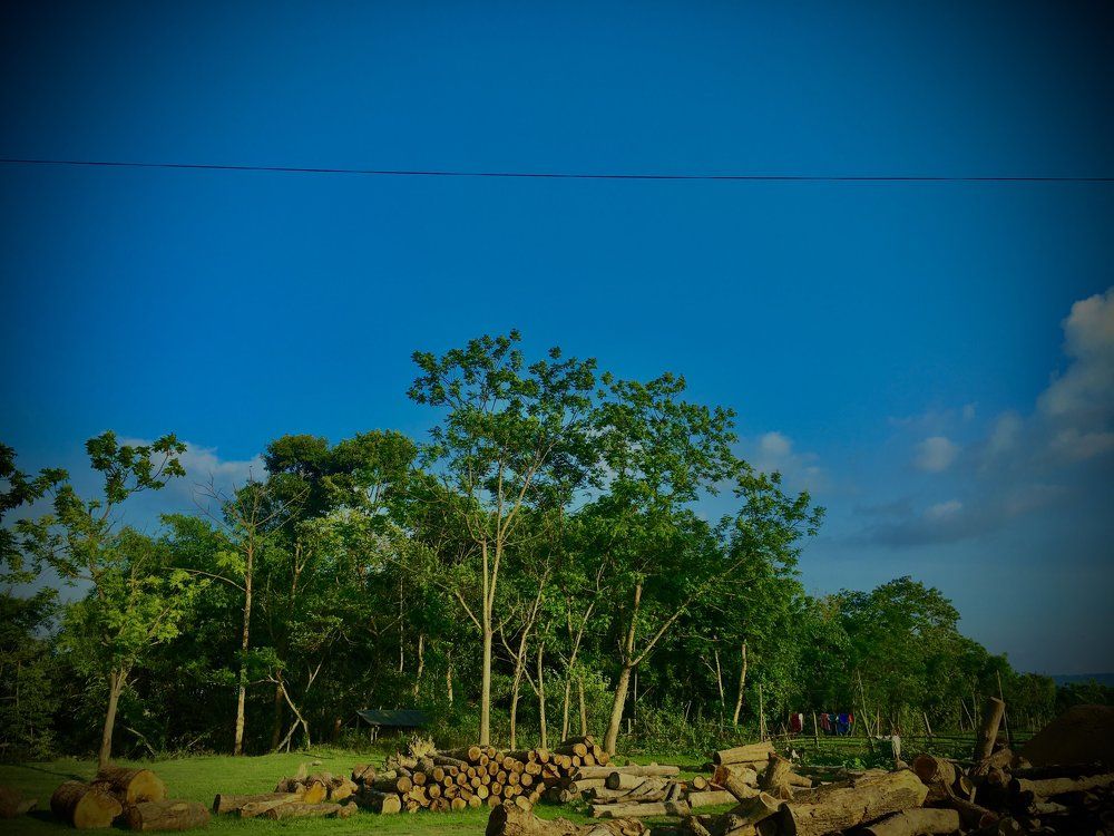 Photograph by Aniket Dhakal