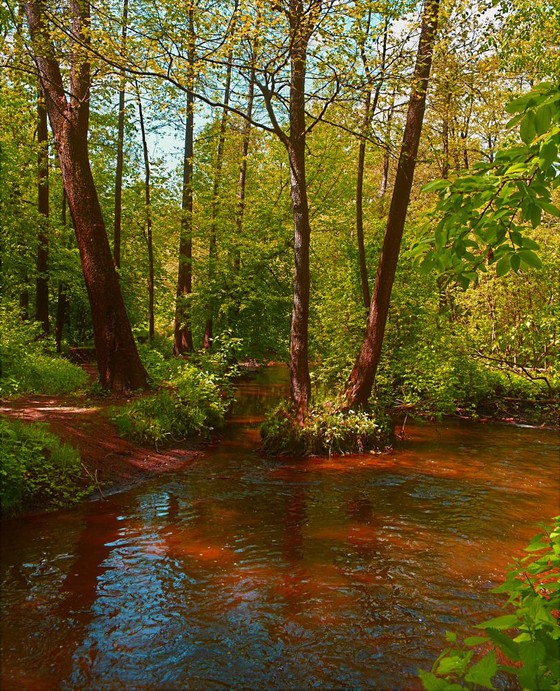 Photograph by Сергей Иванович Носов