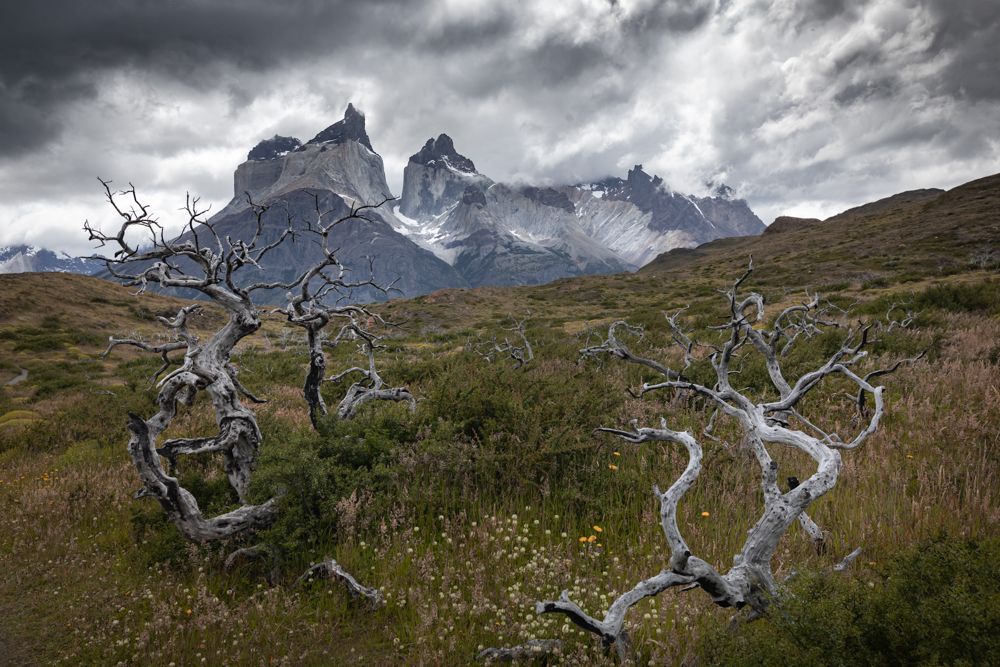 Photograph by Roman Bevzenko