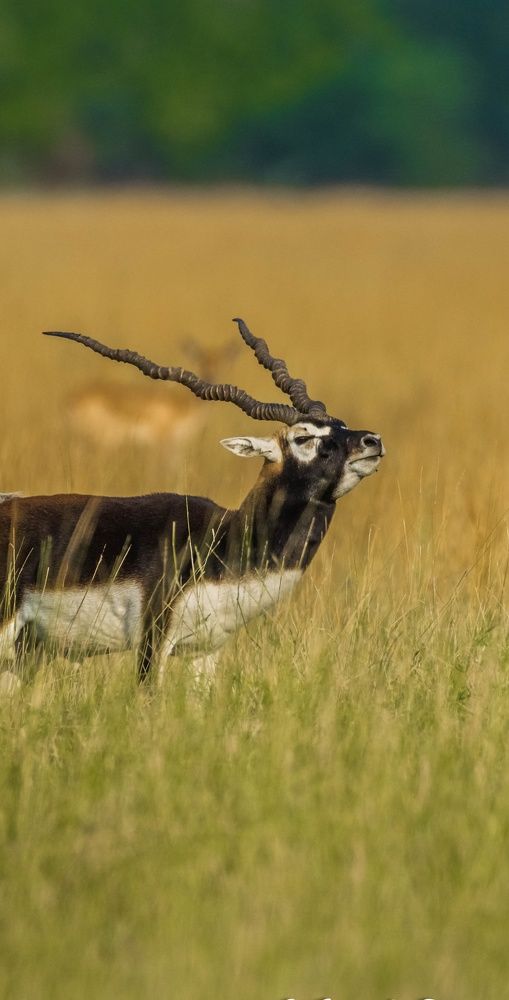 Photograph by Soumendu Das