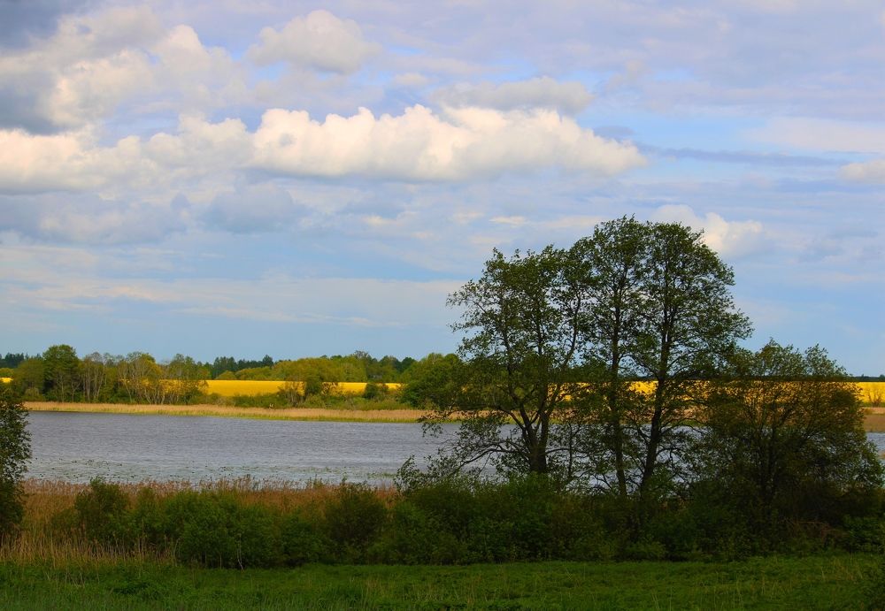 Photograph by Юлия Гаврильчик