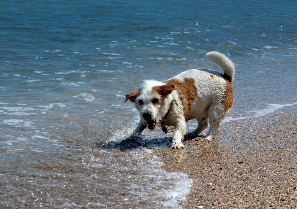 Photograph by Марина Адамковская