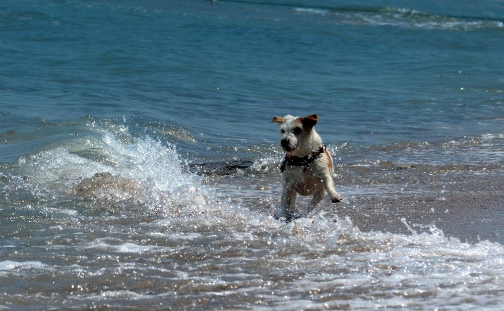 Photograph by Марина Адамковская