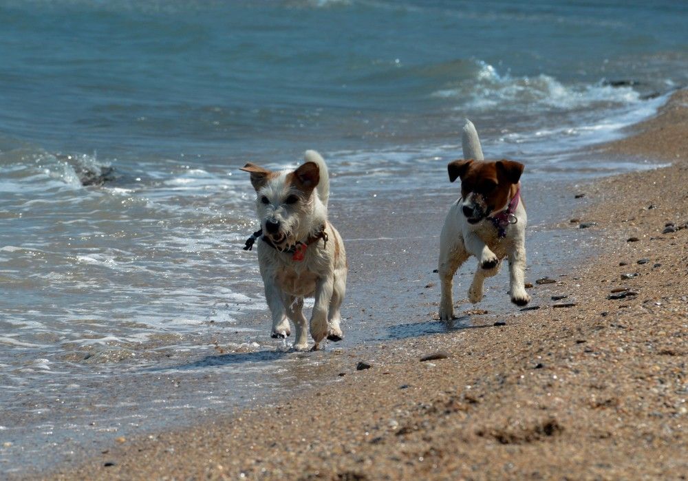 Photograph by Марина Адамковская