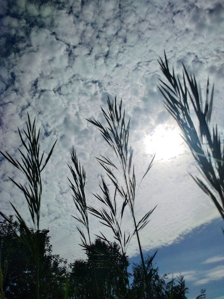 Картины неба