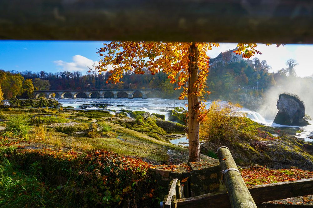 Rheinfall in Switzerland