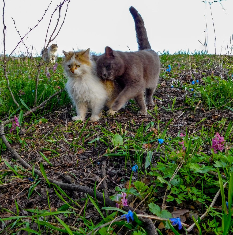 Photograph by Андрей Семенченко