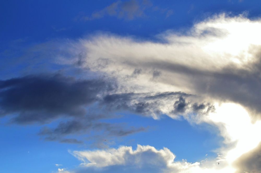 Photograph by Ольга Мокрова