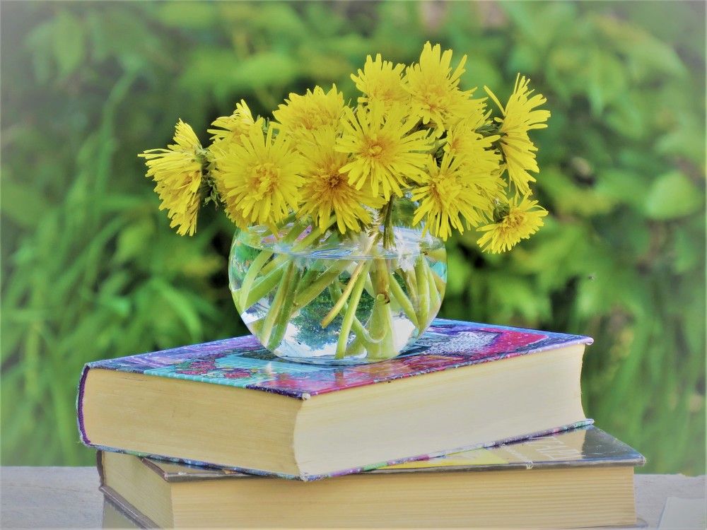 Photograph by Елена Жадько