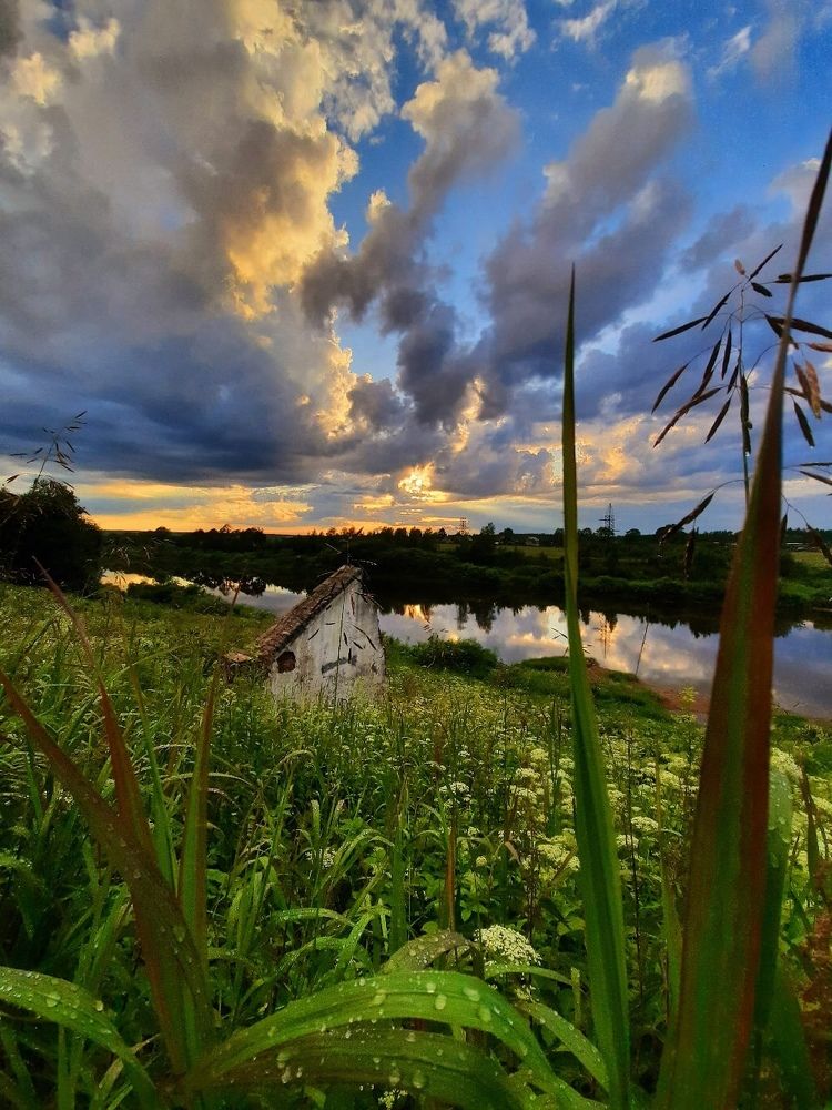 После дождя