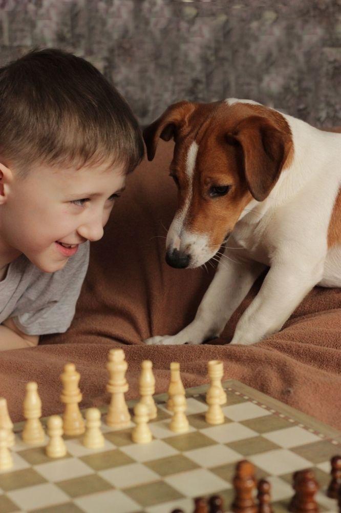 Photograph by Елена Кылосова