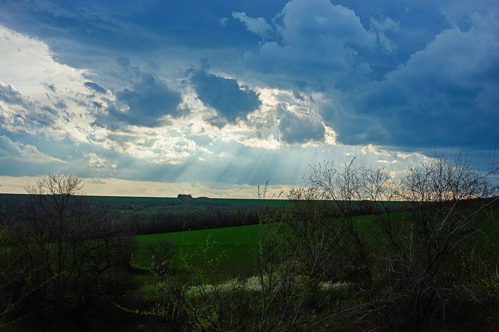 Photograph by Яна Резник