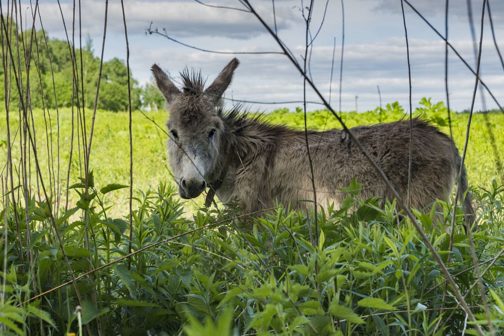 Photograph by Сергей Чупахин