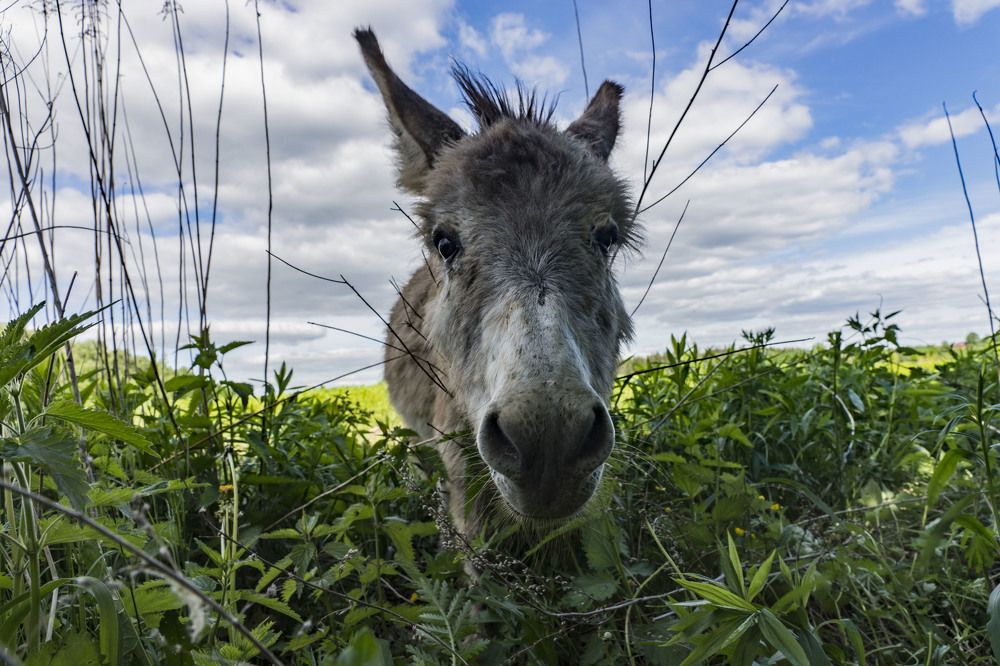 Photograph by Сергей Чупахин