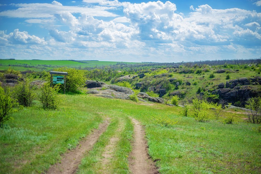 Photograph by Яна Резник