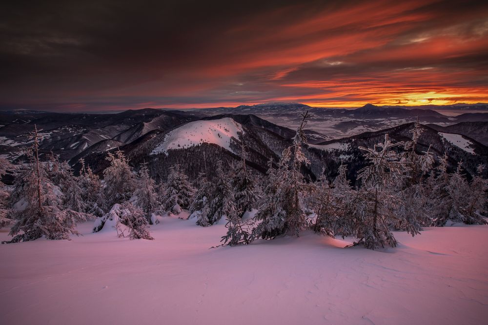 Фотография автора Jozef Sadecky