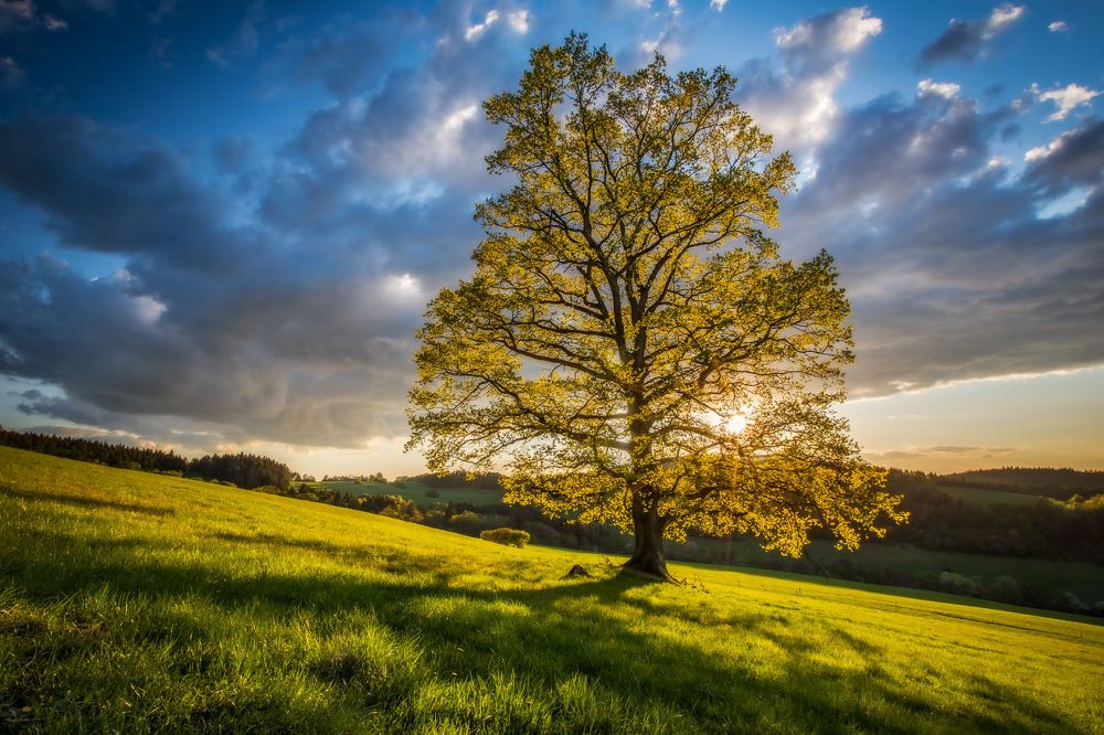 Фотография автора Jozef Sadecky