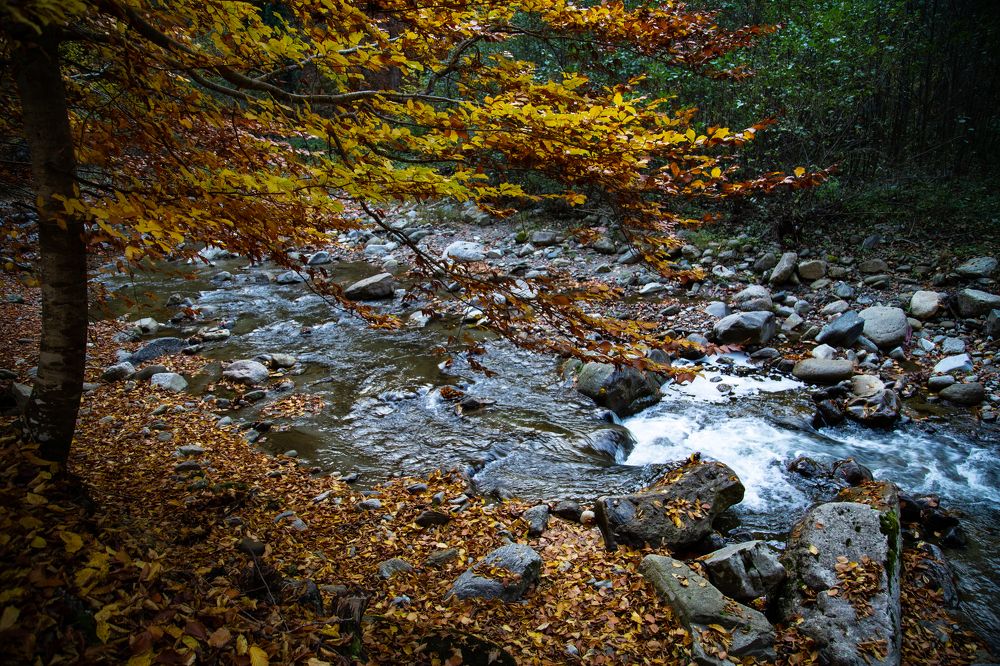 Photograph by Dzintra Zvagina