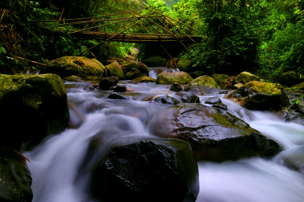 Photograph by Cahya Nugraha