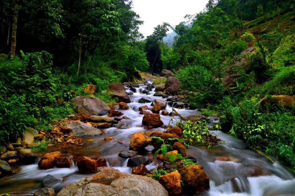 Photograph by Cahya Nugraha