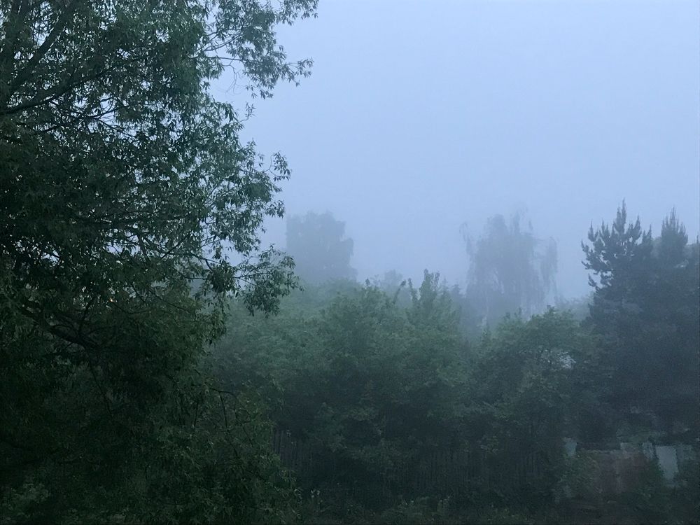 Photograph by Эрик Турман