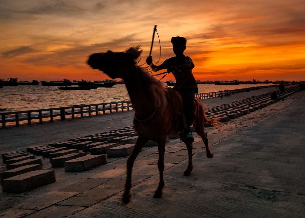 The Horse and The Rider